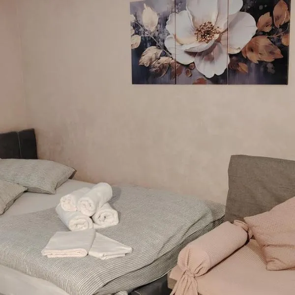 Mini wellness studio-near the airport, hotel din Smlednik