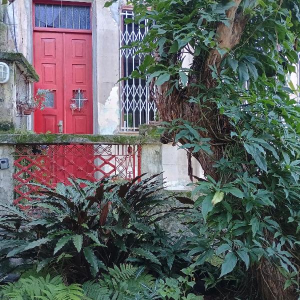 Quintal Oceano - Casa Antiga e Silenciosa com Quintal - Botafogo - Foto 5