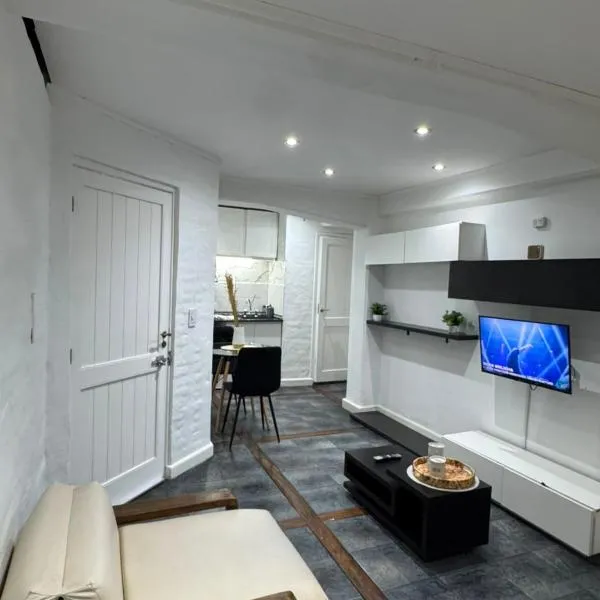 Cuyano - Loft, hotel v destinaci San Rafael