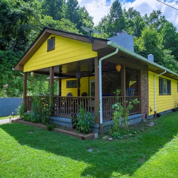 Slay The Dragon Dragon's Lair Cabin in Robbinsville, North Carolina w Creek, hotel in Robbinsville