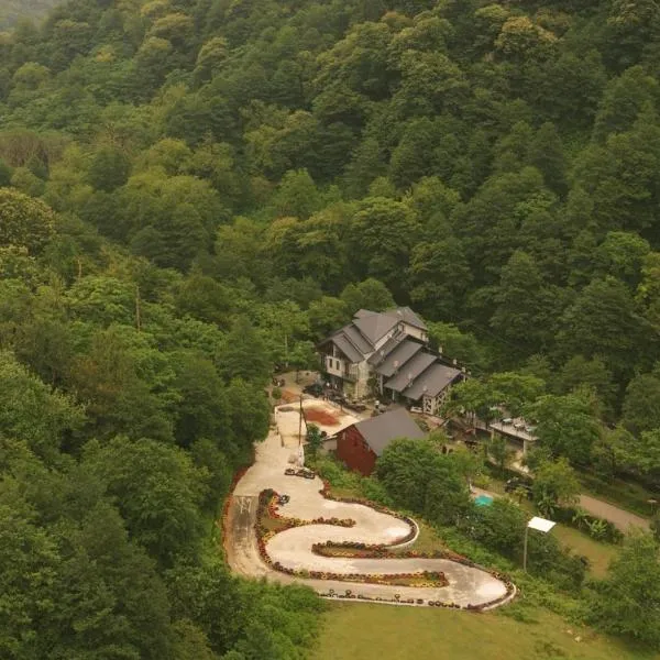 Park Resort Mtirala National Park，Ch'ak'vist'avi的飯店