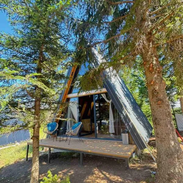 Forest Whisper Lux - A-frame cabin with private hot tub, hotel in Kovačka Dolina
