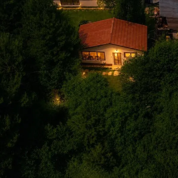 Forest Hide Tiny House, отель в Ковасне
