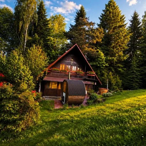 Chata pod lasem z balią i sauną: Myślenice şehrinde bir otel
