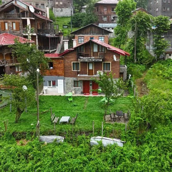 Ayder Palas Apart Hotel, hotel in Ayder Yaylasi