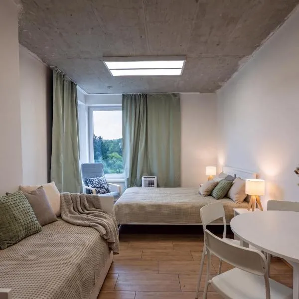 Brand New studio apartment #15 near center with FREE street parking, hotel di Prague