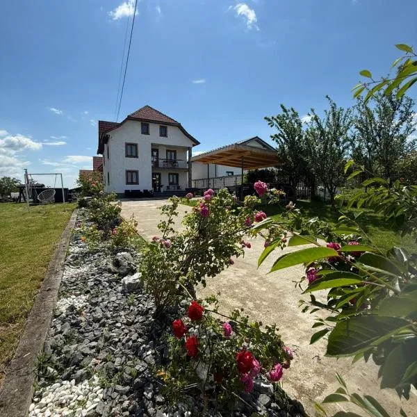 Pensiunea Diana, hotel u gradu Novači-Straini