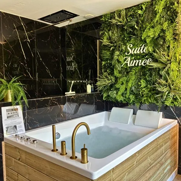 La Suite Aimée - Espace relaxant avec balnéo, hotel i Angoulême