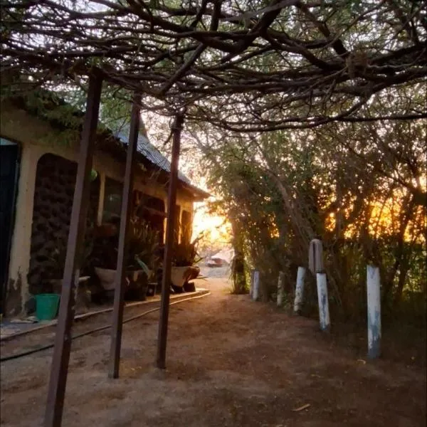 Nchaman Nest, ξενοδοχείο σε Loiyangalani 