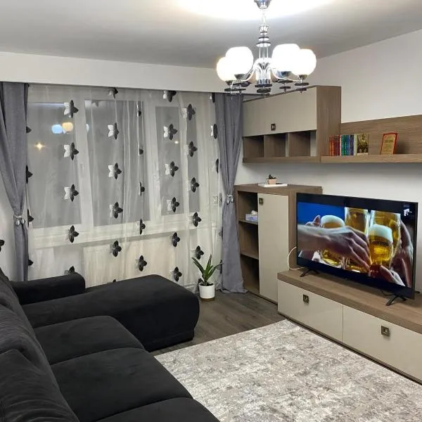 Alina Home, hotel a Mediaş