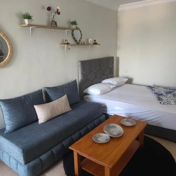 Studio avec terrasse privée sans vis-à-vis, hotel in Essaouira