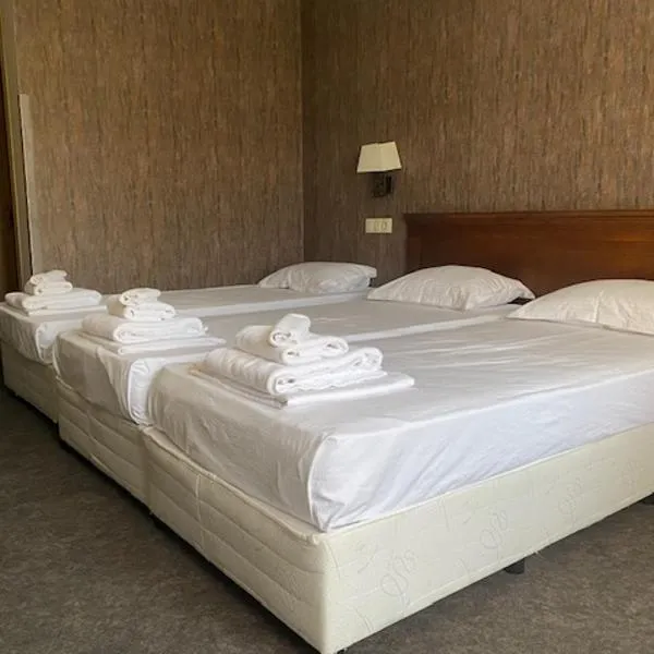 Hotel Domenic FREE PARKING, hotel u gradu 'Plovdiv'
