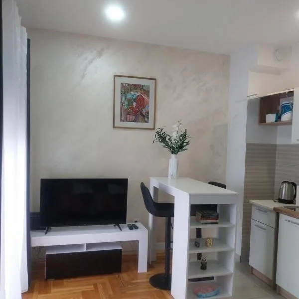 Garsonjera na dan, hotel di Cetinje