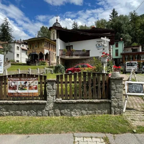 Pensiunea Olt Centrum/ Olt Centrum panzió – hotel w mieście Băile Tuşnad