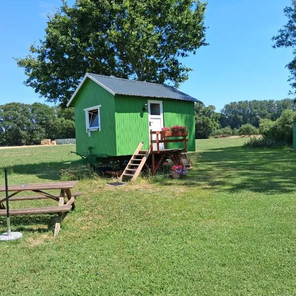 Tiny House, hotel i Münster