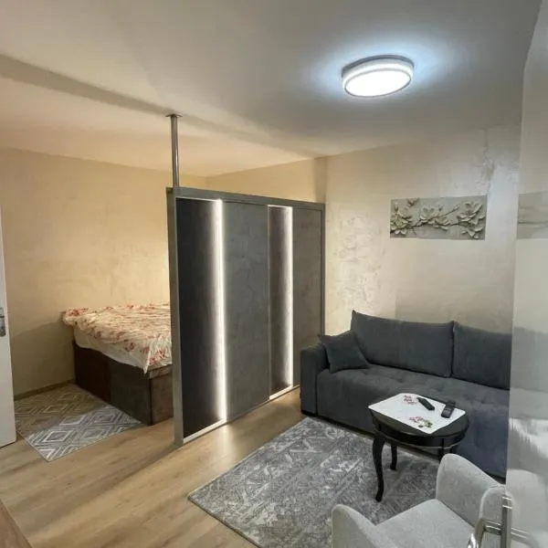 Teodora S, hotel u gradu Loznica