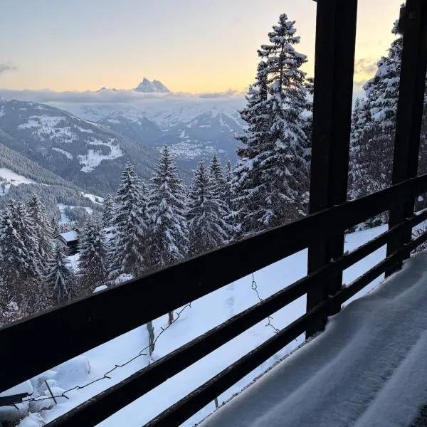 Beautiful chalet with exceptional views, ski-to-door, very quiet, ξενοδοχείο σε Gryon