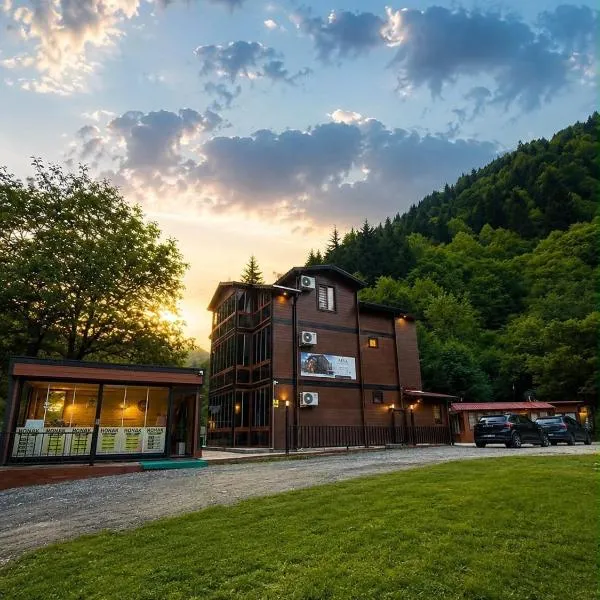 Msa Pansiyon, hotel en Çaykara