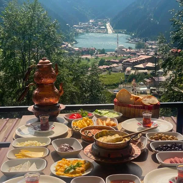 maneviga pansiyon, hotel in Çaykara