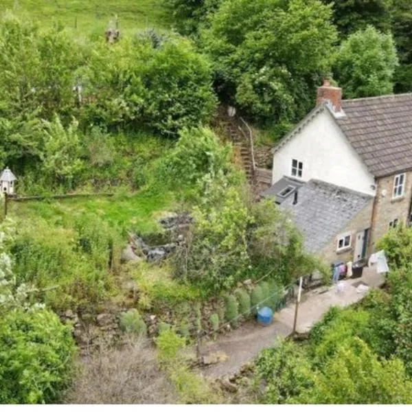 Tranquil Woodland Cottage by river Wye, hotel en Lydbrook