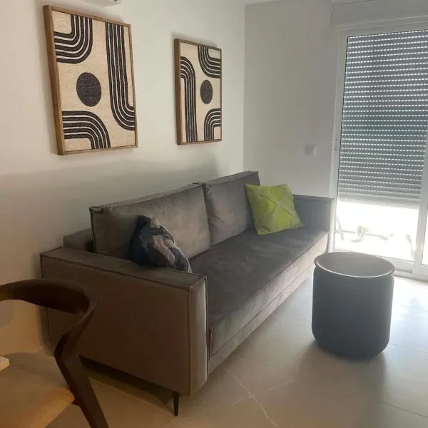 Costa Royale APARTAMENT，托雷維耶哈的飯店