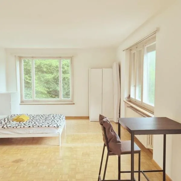 Zurich Center Flats with Balcony - RigiD, hotel en Zúrich