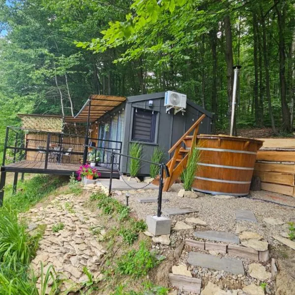 Căsuța din pădure KSIM, hotel di Curtea de Argeş