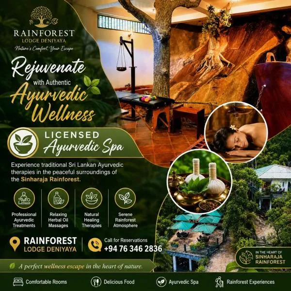 Rainforest Lodge, Deniyaya singheraja, hotel in Deniyaya