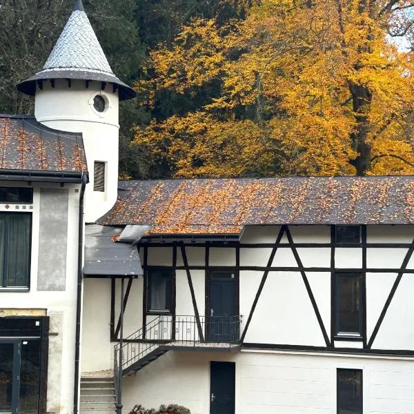 Lesní Mlýn Depandance, hotel u gradu Marianske Lazne
