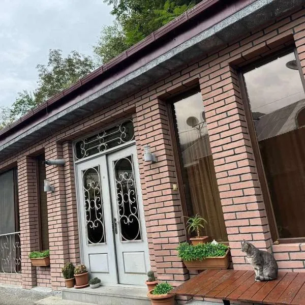 Nimako apartment, Hotel in Bordschomi