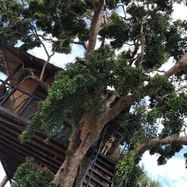 The Campers Lodge Yala, hôtel à Yala