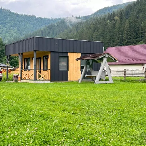 Family house kryvorivnia, hotel em Verkhovyna