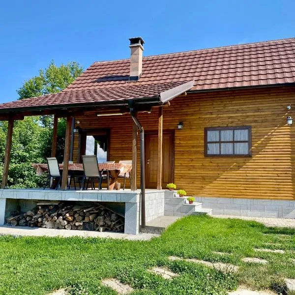 Vila Vlasinski mir، فندق في Surdulica