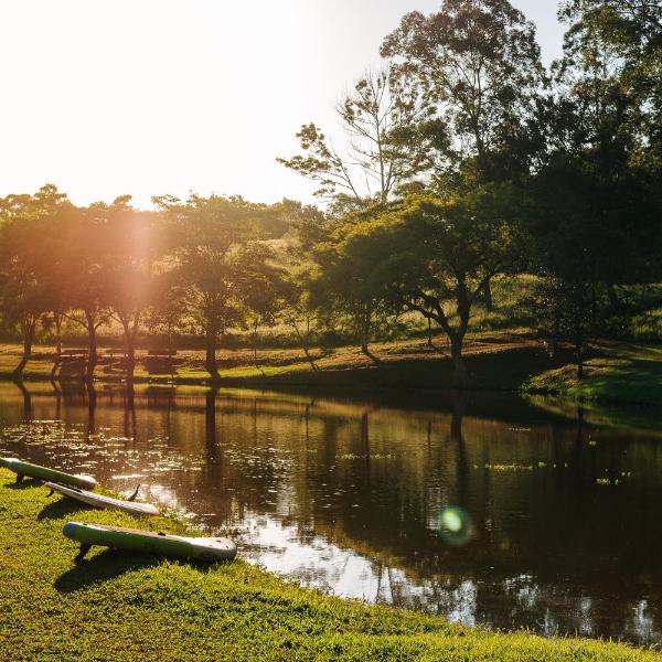 Fazenda Histórica de Café com Lagos, Cavalos e Trilhas