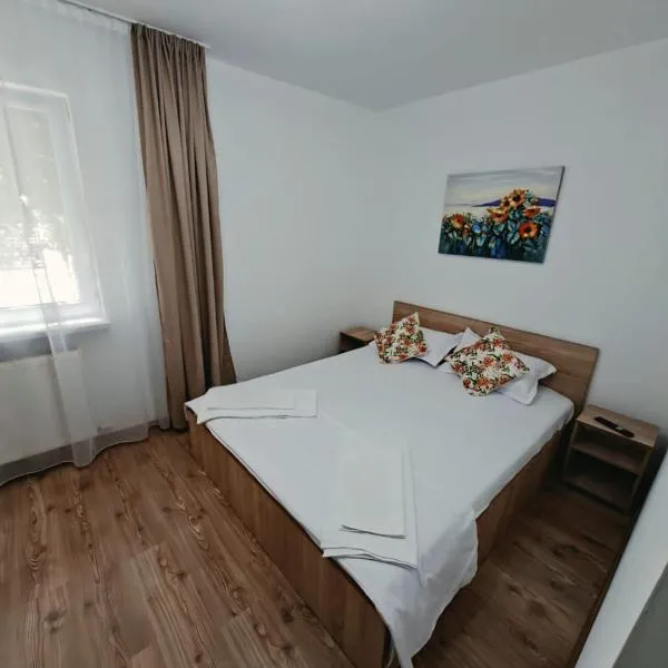 Codruta Home, hotel en Râmnicu Vâlcea