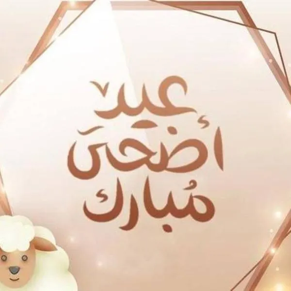 اليمن – hotel w mieście Ta‘izz