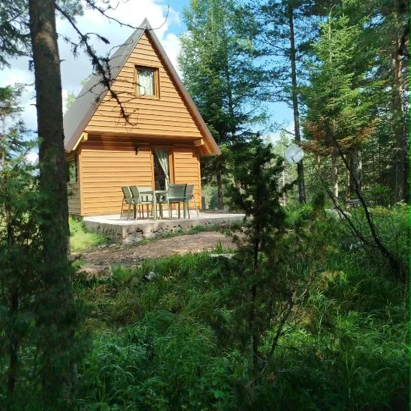 Durmitor Forest Retreat, hotel na Žabljaku
