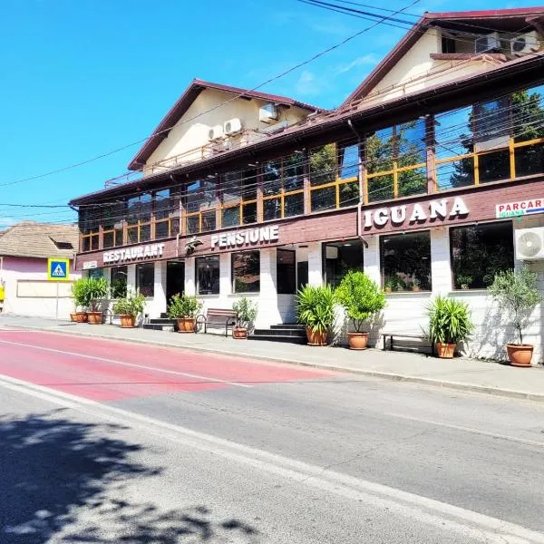 Pensiune Iguana, hotel sa Tulcea