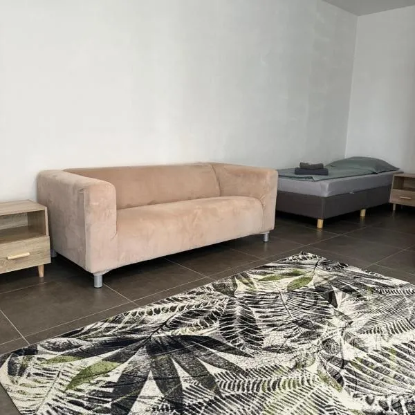Pension Boardinghaus Dingolfing, hotel in Dingolfing