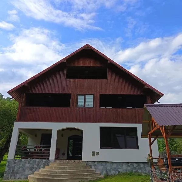 Casa Bebe, hotel en Grinţieş