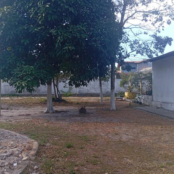 Ozaka Homes