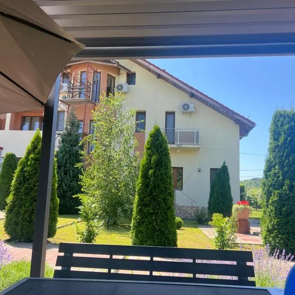 Pensiunea Koruna, hotel en Poenari
