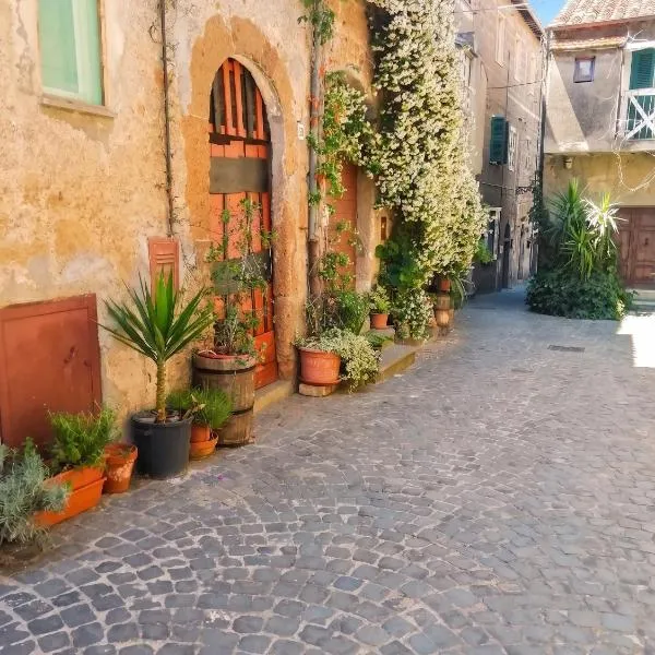 Charming House in Barbarano Romano with Terrace and Fireplace – hotel w mieście Barbarano Romano