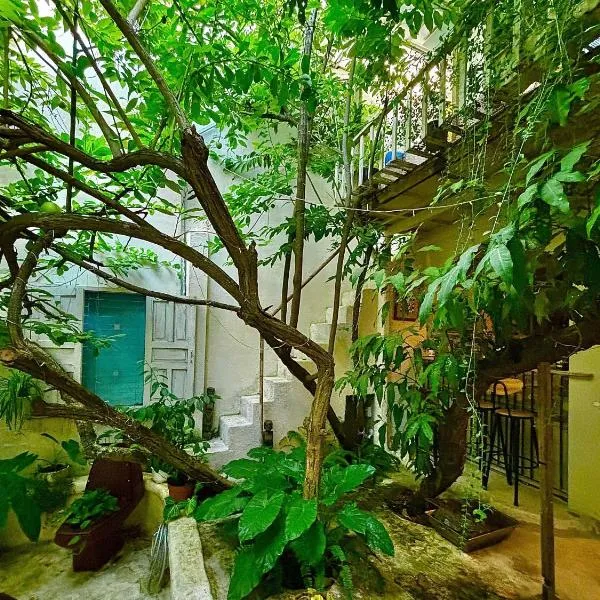 Brother House, hotel in Nha Trang