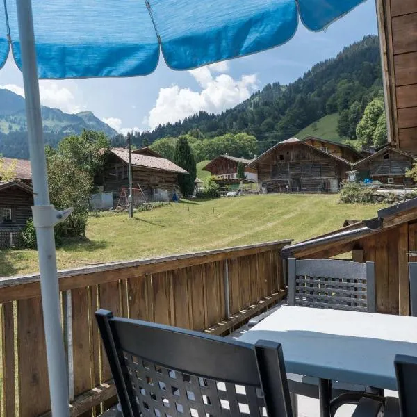 Alpine Chalet Apt near Interlaken Balcony&Parking، فندق في ساكسيتين