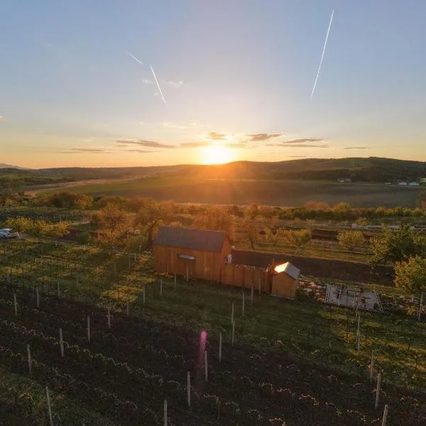Tiny house Pálava、ボレティツェのホテル