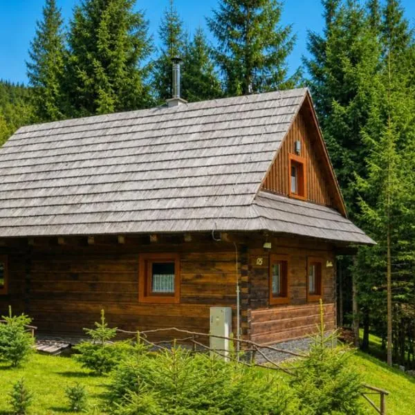 Jariabka Chalet - sun terace, fireplace, grill, space to play, green embrace of the forest in the Low Tatras, hotel in Jarabá