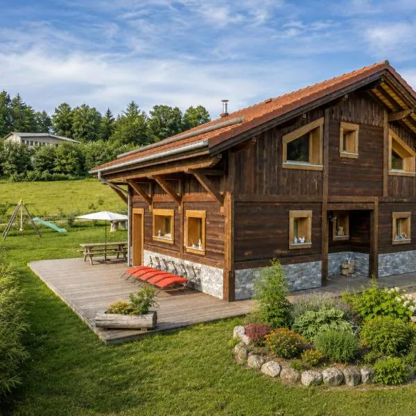 Chalet familial 9 personnes avec sauna privatif et piscine naturelle - Le Domaine des Fleurs Gérardmer, hotel in Gérardmer
