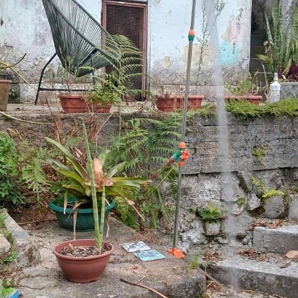 Quintal Oceano - Casa Antiga e Silenciosa com Quintal - Botafogo - Foto 2