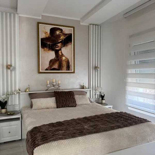 Angel Luxury Apartment, Hotel in Kikinda